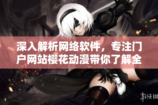 深入解析网络软件，专注门户网站樱花动漫带你了解全方位软件开发