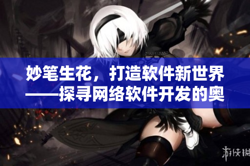 妙笔生花，打造软件新世界——探寻网络软件开发的奥妙