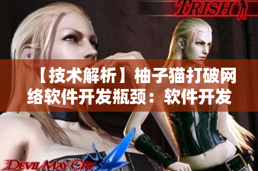 【技术解析】柚子猫打破网络软件开发瓶颈：软件开发者的最爱