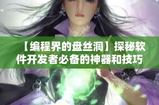 【编程界的盘丝洞】探秘软件开发者必备的神器和技巧
