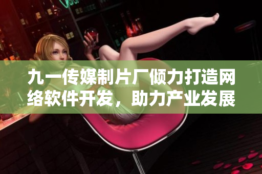 九一传媒制片厂倾力打造网络软件开发，助力产业发展