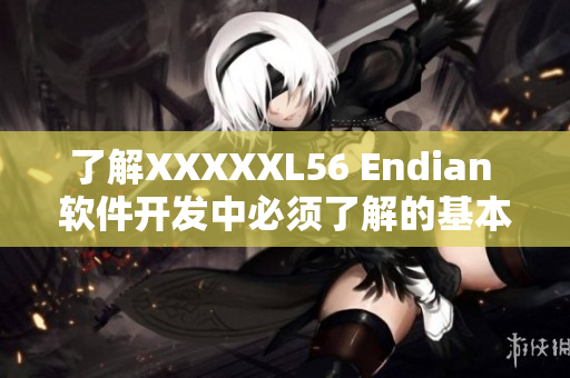 了解XXXXXL56 Endian 软件开发中必须了解的基本知识