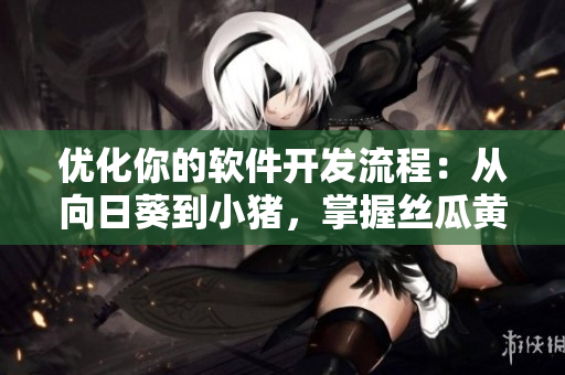 优化你的软件开发流程：从向日葵到小猪，掌握丝瓜黄瓜一样的技巧