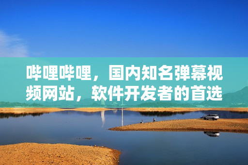 哔哩哔哩，国内知名弹幕视频网站，软件开发者的首选平台
