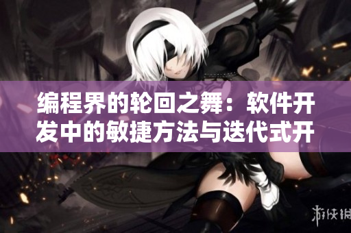 编程界的轮回之舞：软件开发中的敏捷方法与迭代式开发