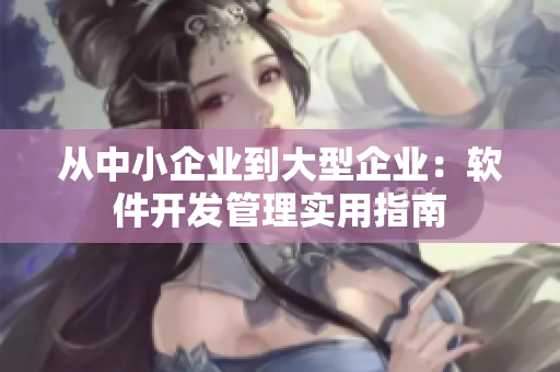 从中小企业到大型企业：软件开发管理实用指南