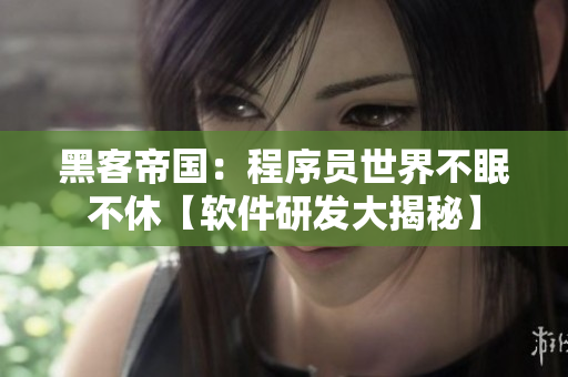 黑客帝国：程序员世界不眠不休【软件研发大揭秘】