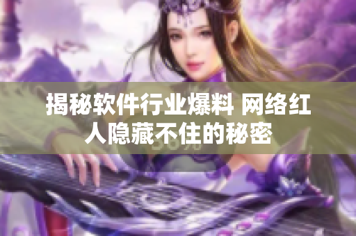 揭秘软件行业爆料 网络红人隐藏不住的秘密