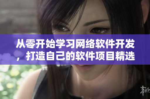 从零开始学习网络软件开发，打造自己的软件项目精选MBA智库教程