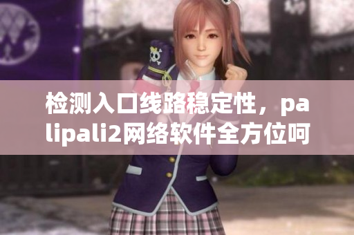 检测入口线路稳定性，palipali2网络软件全方位呵护网上冲浪