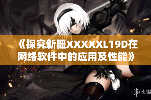 《探究新疆XXXXXL19D在网络软件中的应用及性能》