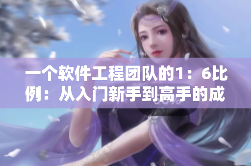 一个软件工程团队的1：6比例：从入门新手到高手的成长之路