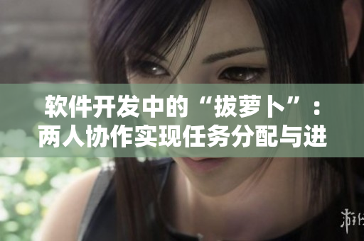 软件开发中的“拔萝卜”：两人协作实现任务分配与进度管理