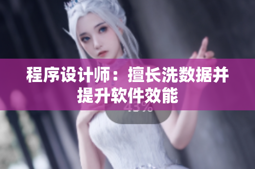 程序设计师：擅长洗数据并提升软件效能