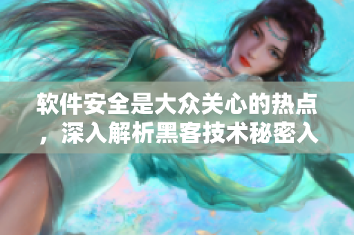 软件安全是大众关心的热点，深入解析黑客技术秘密入侵真相