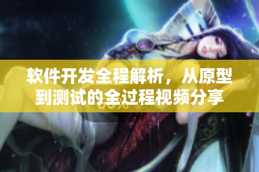 软件开发全程解析，从原型到测试的全过程视频分享