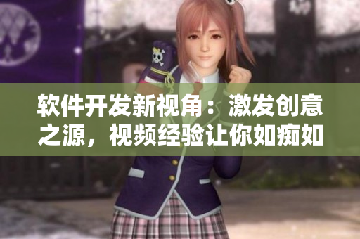 软件开发新视角：激发创意之源，视频经验让你如痴如醉