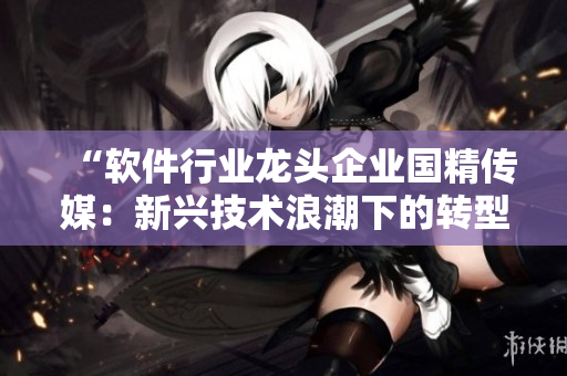 “软件行业龙头企业国精传媒：新兴技术浪潮下的转型与升级”