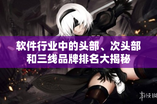 软件行业中的头部、次头部和三线品牌排名大揭秘