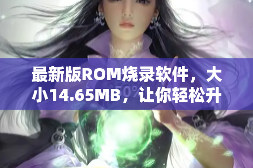 最新版ROM烧录软件，大小14.65MB，让你轻松升级固件