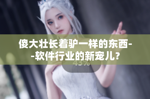 傻大壮长着驴一样的东西--软件行业的新宠儿？