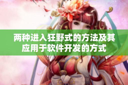 两种进入狂野式的方法及其应用于软件开发的方式