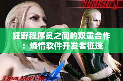 狂野程序员之间的双重合作：燃情软件开发者征途