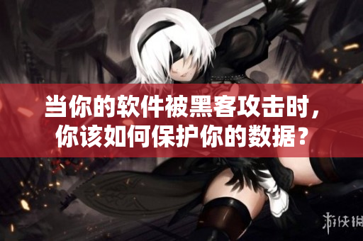 当你的软件被黑客攻击时，你该如何保护你的数据？