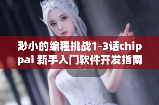 渺小的编程挑战1-3话chippai 新手入门软件开发指南