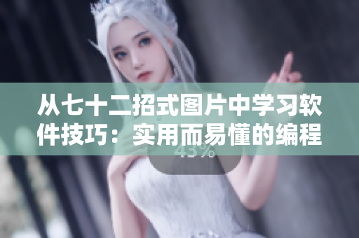 从七十二招式图片中学习软件技巧：实用而易懂的编程教程