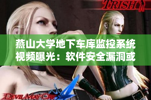燕山大学地下车库监控系统视频曝光：软件安全漏洞或引发重大隐私风险