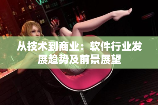 从技术到商业：软件行业发展趋势及前景展望
