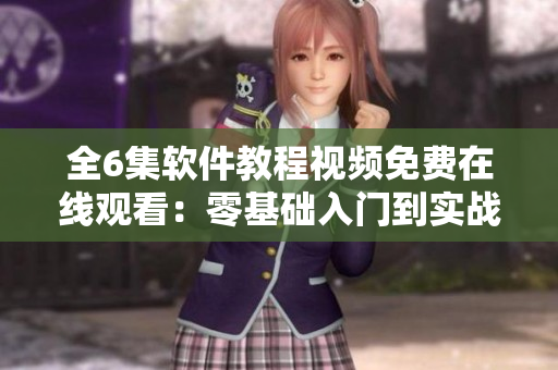 全6集软件教程视频免费在线观看：零基础入门到实战应用完整版