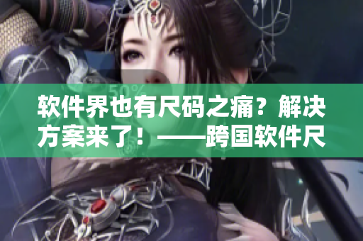 软件界也有尺码之痛？解决方案来了！——跨国软件尺码转换专线