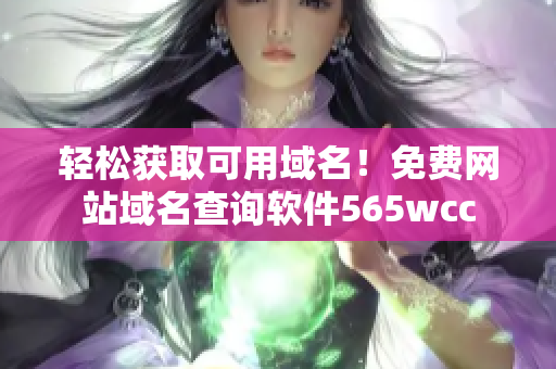 轻松获取可用域名！免费网站域名查询软件565wcc