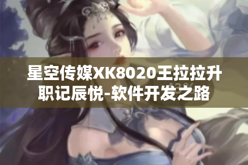 星空传媒XK8020王拉拉升职记辰悦-软件开发之路