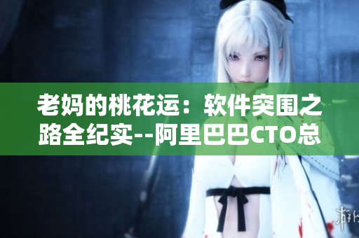 老妈的桃花运：软件突围之路全纪实--阿里巴巴CTO总监亲自解读