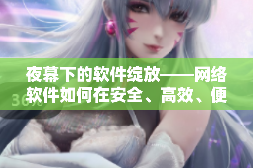 夜幕下的软件绽放——网络软件如何在安全、高效、便捷中展现其重要价值