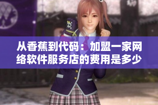 从香蕉到代码：加盟一家网络软件服务店的费用是多少？