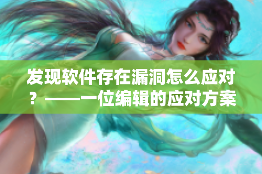 发现软件存在漏洞怎么应对？——一位编辑的应对方案
