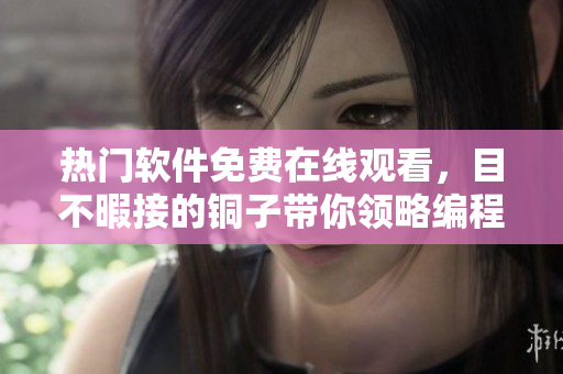 热门软件免费在线观看，目不暇接的铜子带你领略编程的魅力
