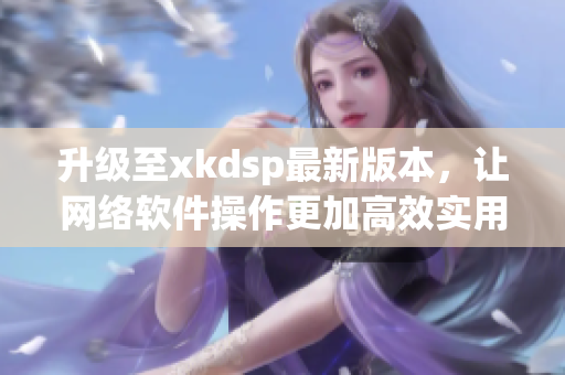 升级至xkdsp最新版本，让网络软件操作更加高效实用