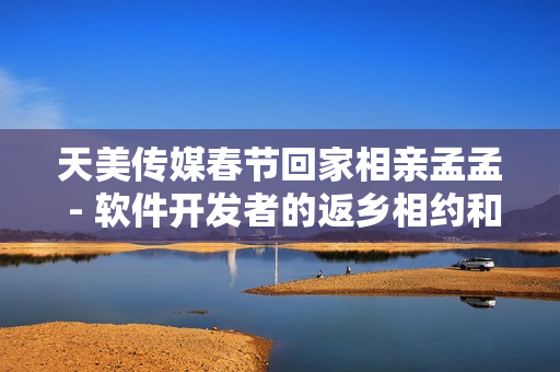 天美传媒春节回家相亲孟孟 - 软件开发者的返乡相约和尚重修IT界