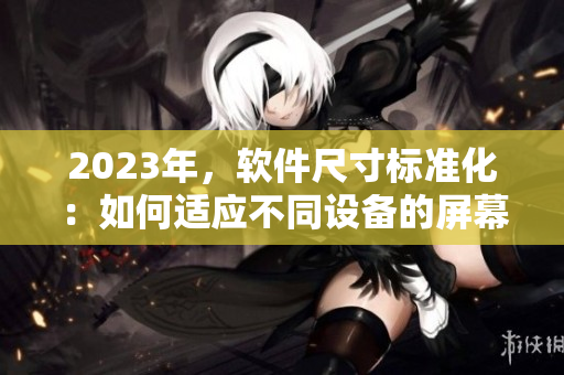 2023年，软件尺寸标准化：如何适应不同设备的屏幕分辨率与显示效果