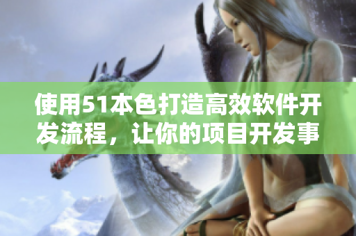 使用51本色打造高效软件开发流程，让你的项目开发事半功倍