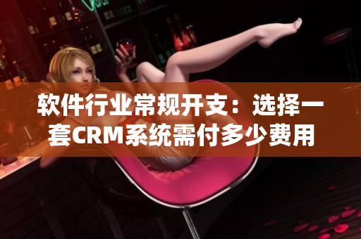 软件行业常规开支：选择一套CRM系统需付多少费用