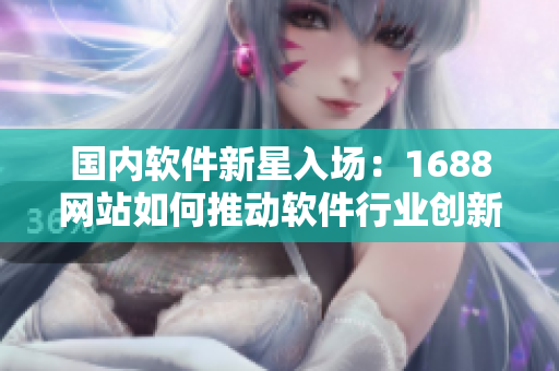 国内软件新星入场：1688网站如何推动软件行业创新？