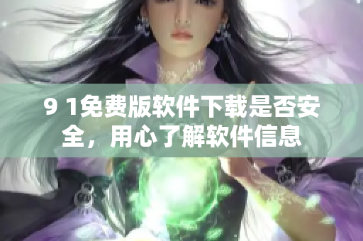 9 1免费版软件下载是否安全，用心了解软件信息