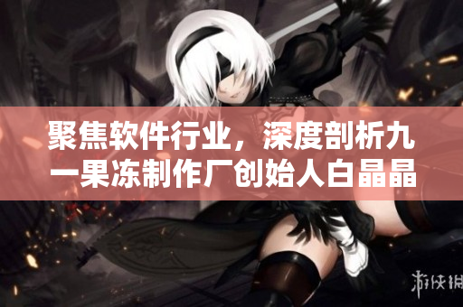 聚焦软件行业，深度剖析九一果冻制作厂创始人白晶晶的个人履历