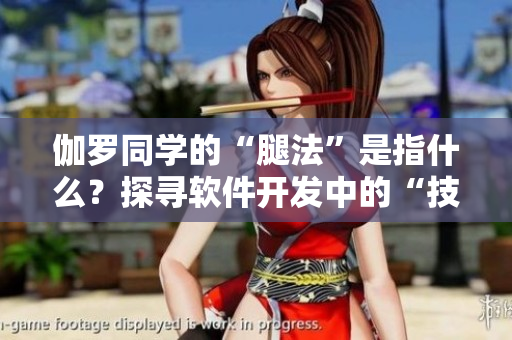 伽罗同学的“腿法”是指什么？探寻软件开发中的“技法”